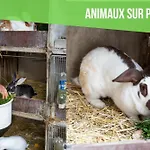 Insolit'appart A La Ferme