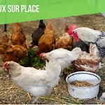 Apartment Insolit'appart A La Ferme Horbourg