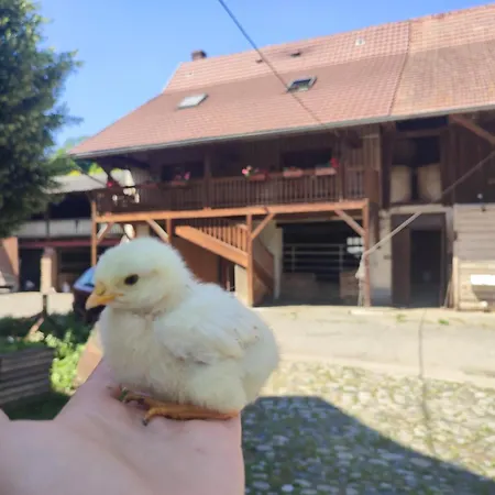 Insolit'appart A La Ferme *