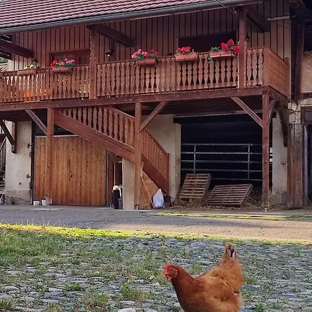 Insolit'appart A La Ferme Daire Horbourg
