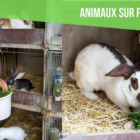 Insolit'appart A La Ferme