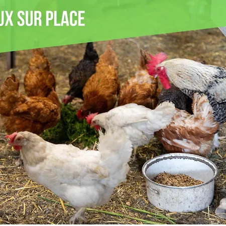 Daire Insolit'appart A La Ferme Horbourg