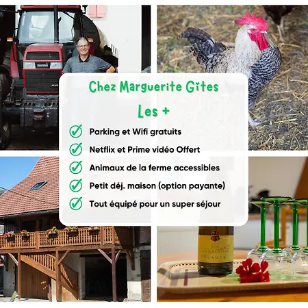 Daire Insolit'appart A La Ferme *